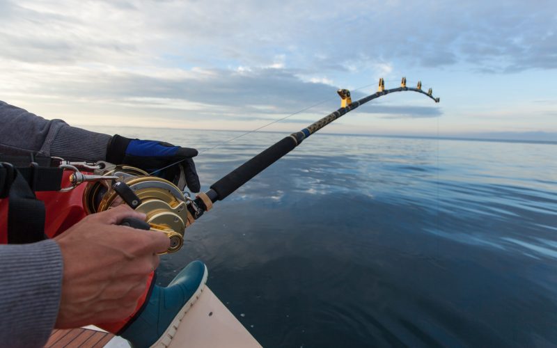 Man,Fishing,On,A,Big,Game,Fishing,Trip