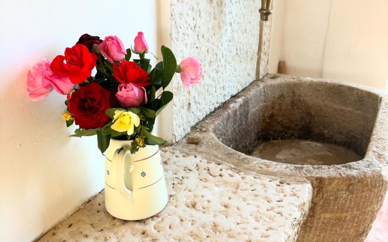 image_123650291 (1) 4