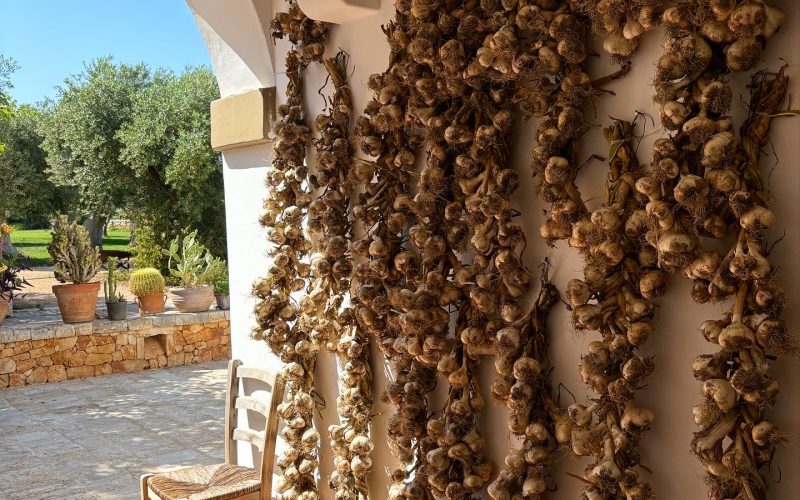 image_123650291 (1) w