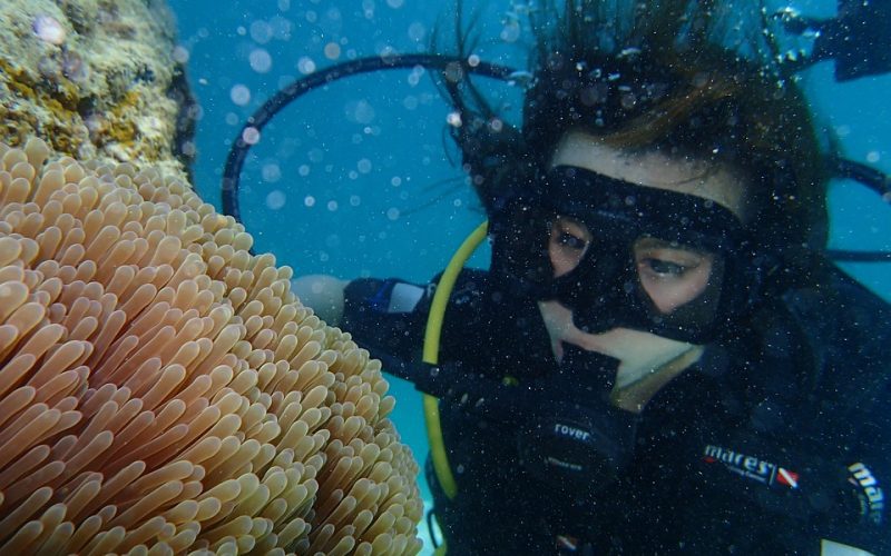 marine-1249625_960_720