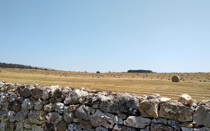 murgia-3618785_960_720