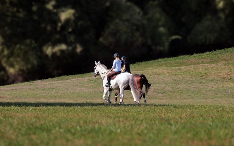 ride-3788373_960_720