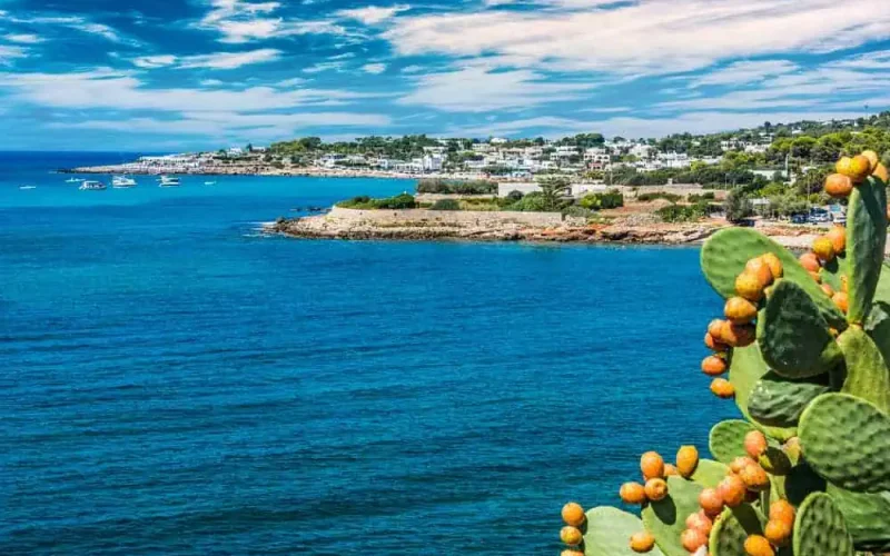 shutterstock_1818619304 (1)_1